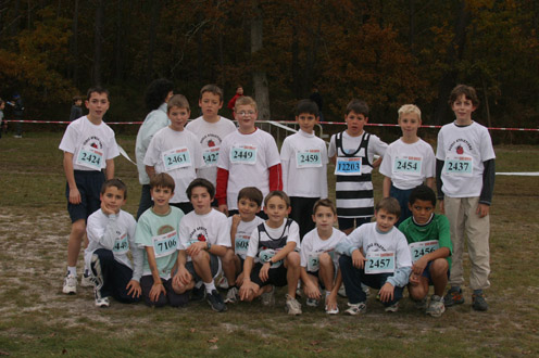 cross 231