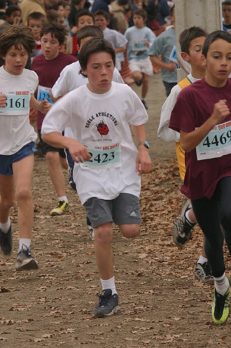 cross 238