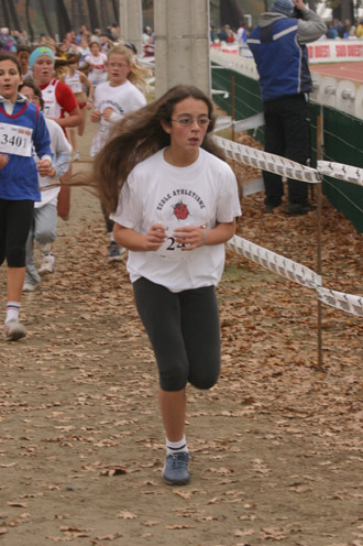 cross 245