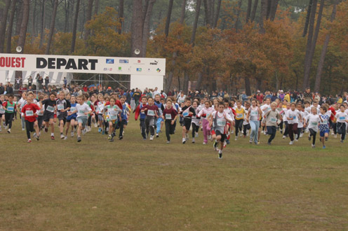 cross 253