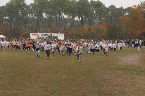 cross 258