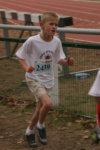 cross 259