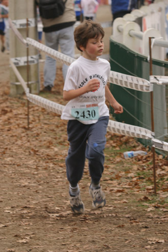 cross 261