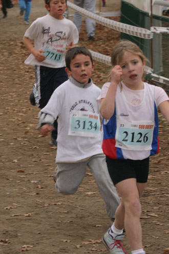cross 262