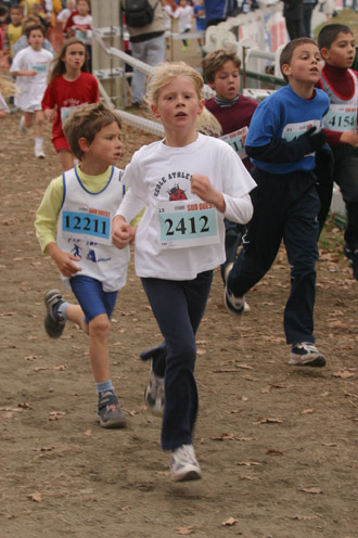 cross 267
