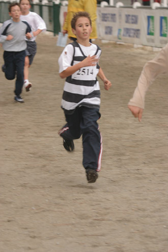 cross 282