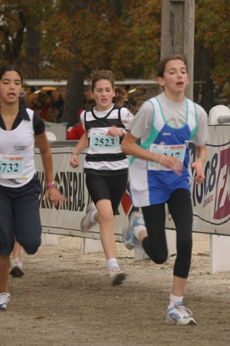 cross 291