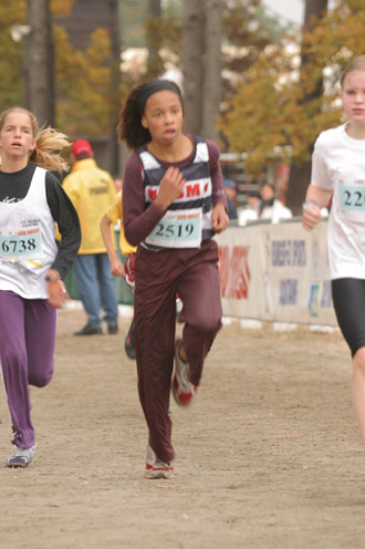 cross 294
