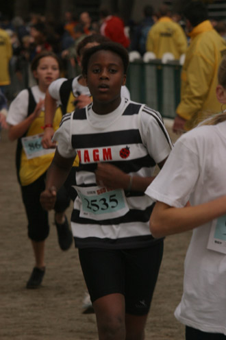 cross 296