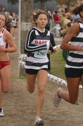 cross 316