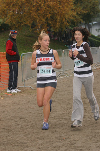 cross 324