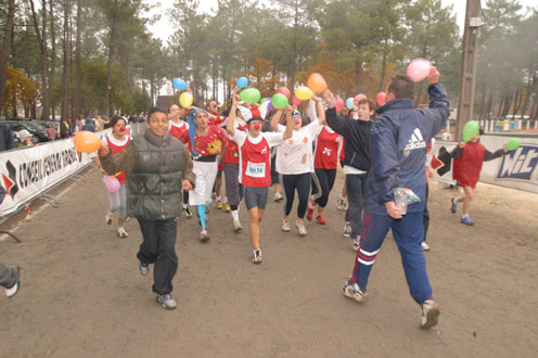 cross 352