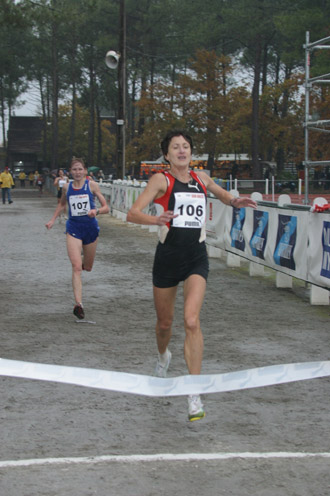 cross 393