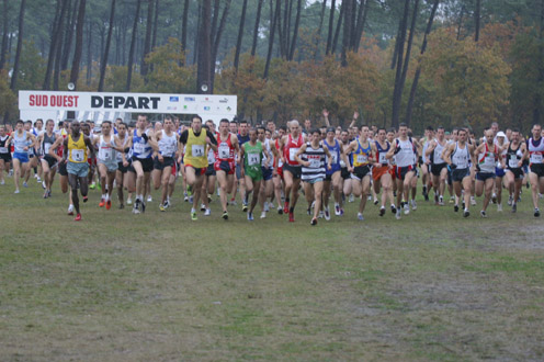 cross 403
