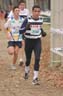 cross 196