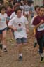 cross 238