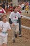 cross 239