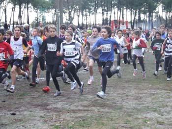 CROSS SO 060