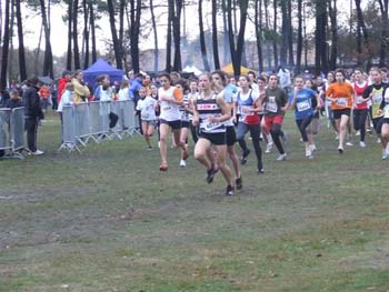 CROSS SO 107