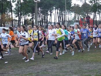 CROSS SO 108