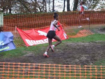 CROSS SO 143