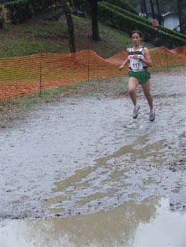 CROSS SO 146