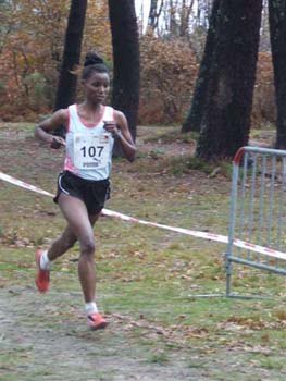 CROSS SO 151