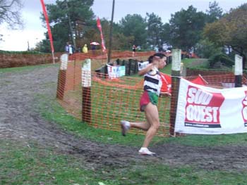CROSS SO 156