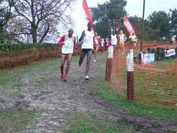 CROSS SO 161
