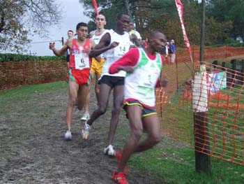 CROSS SO 165