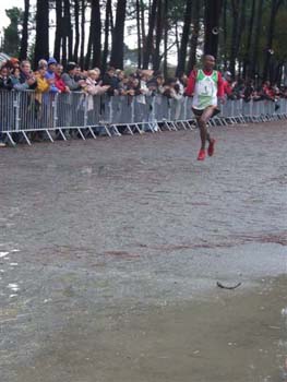 CROSS SO 171