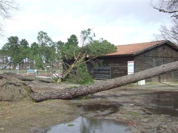 TEMPETE (bis) SUR CHANTE CIGALE 007