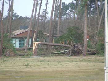 TEMPETE (bis) SUR CHANTE CIGALE 010