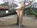 TEMPETE (bis) SUR CHANTE CIGALE 005