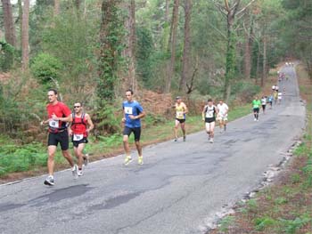 PILAT GUJAN 2011 038