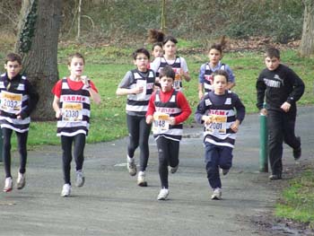RGX CROSS DAX 008