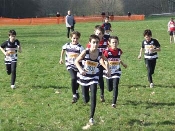 RGX CROSS DAX 019