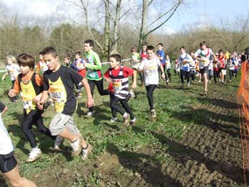 RGX CROSS DAX 021