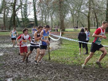 RGX CROSS DAX 046